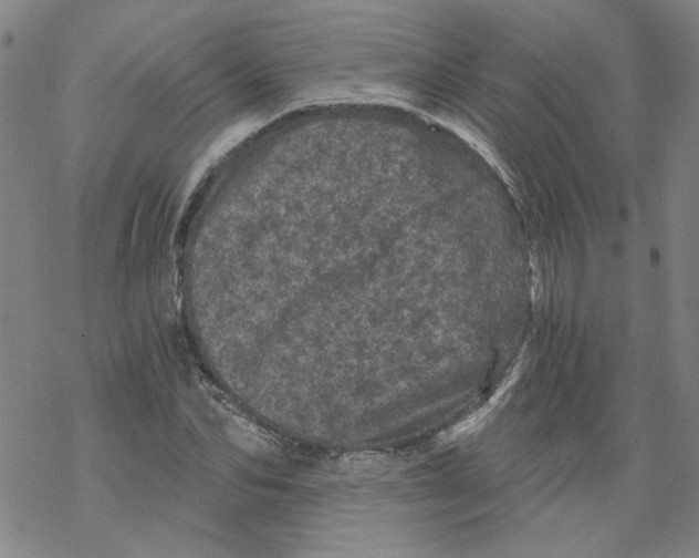 X0000068280974200605191849