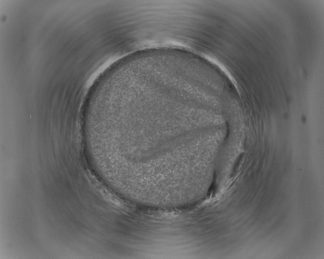 X0000068280975200605191849