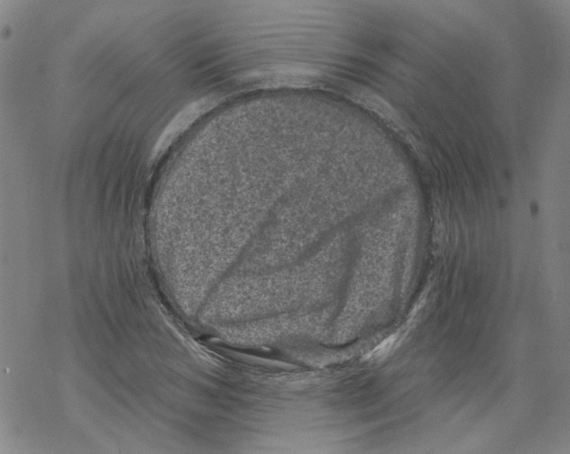 X0000068280978200605191849