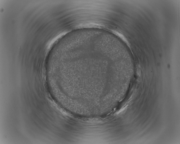 X0000068280979200605191849