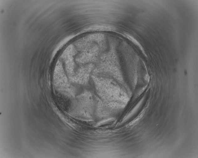 X0000068280981200605191849