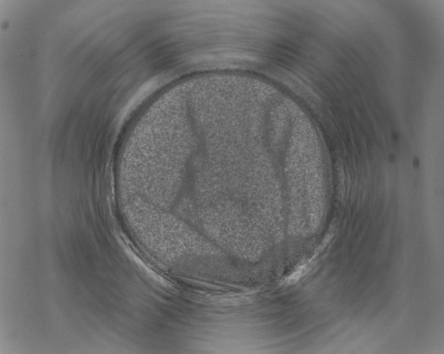 X0000068280982200605191849