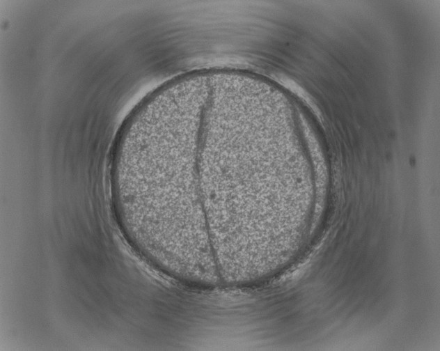 X0000068280983200605191849