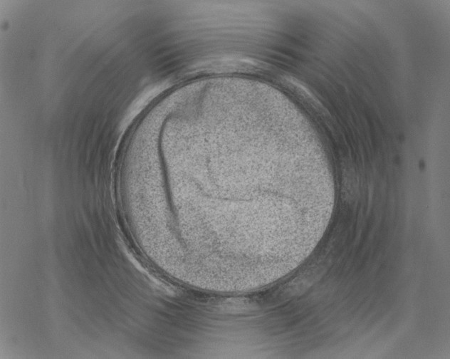 X0000068280986200605191849