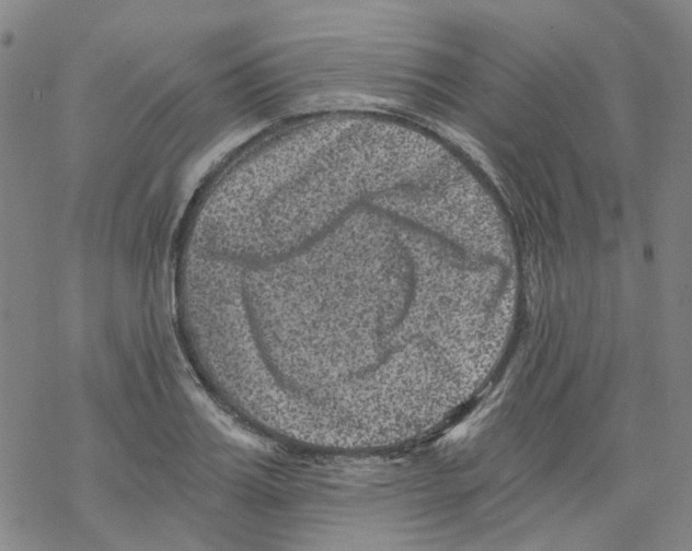 X0000068280987200605191849