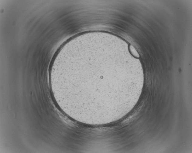 X0000068280988200605191849