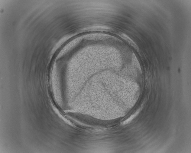 X0000068280989200605191849