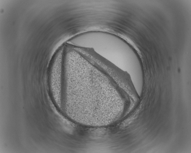 X0000068280991200605191849