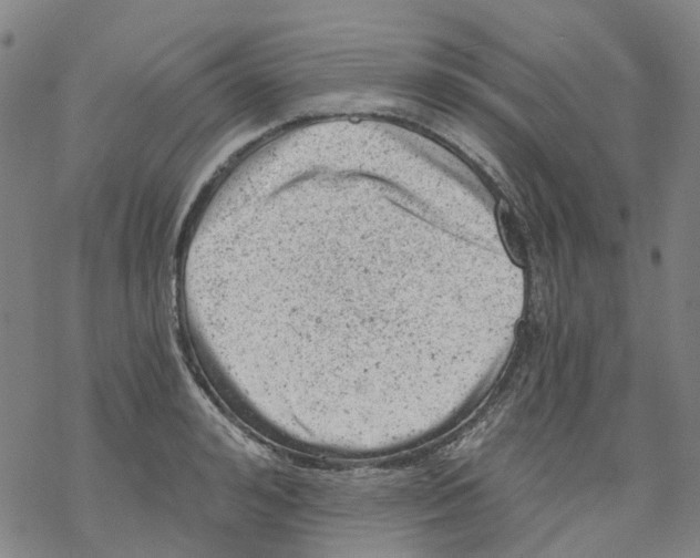 X0000068280992200605191849