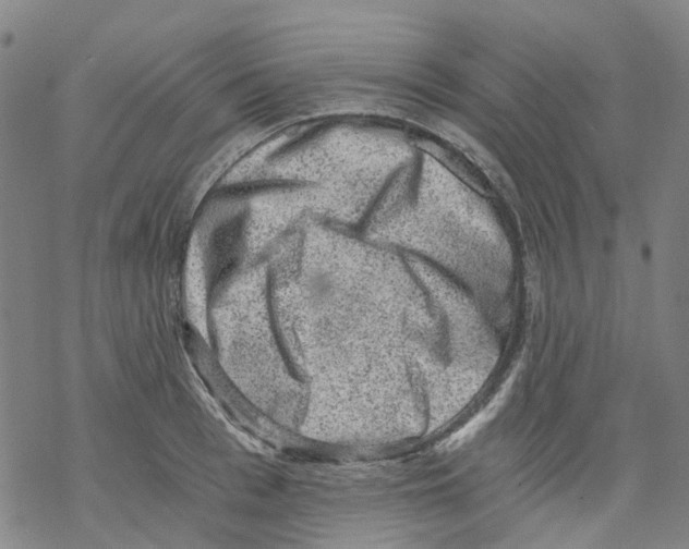 X0000068280993200605191849