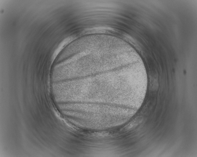 X0000068280994200605191849