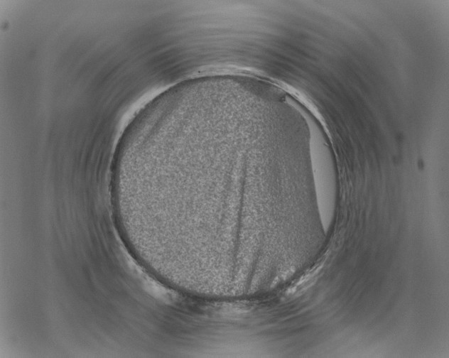 X0000068280995200605191849