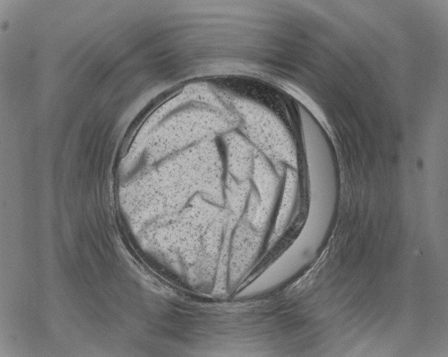 X0000068280996200605191849