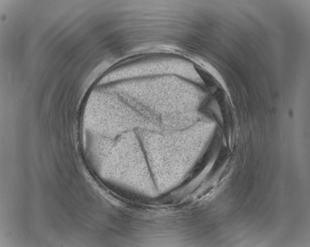 X0000068280997200605191849