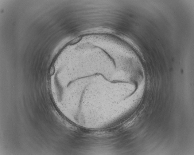 X0000068280998200605191849