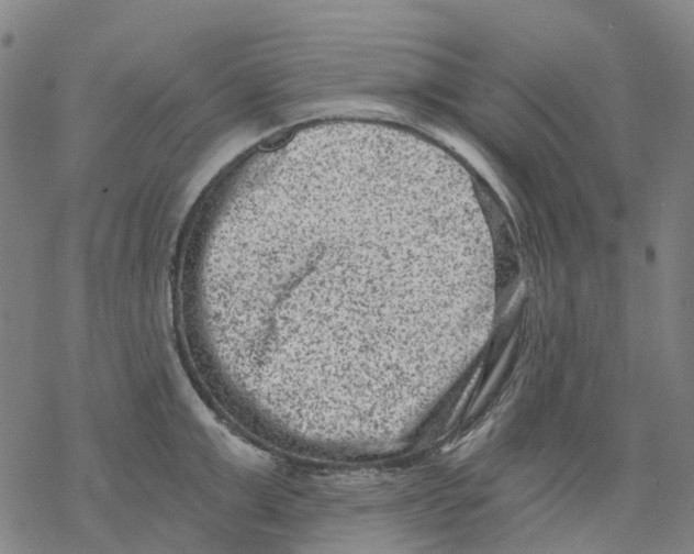 X0000068280999200605191849