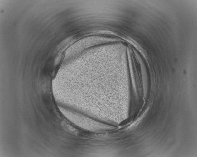 X0000068281001200605191849