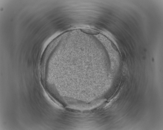 X0000068281003200605191849