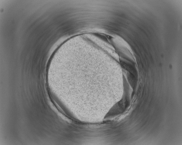 X0000068281005200605191849