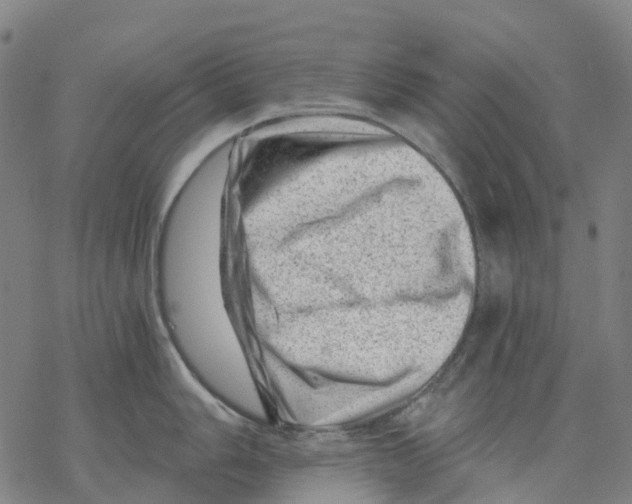 X0000068281006200605191849