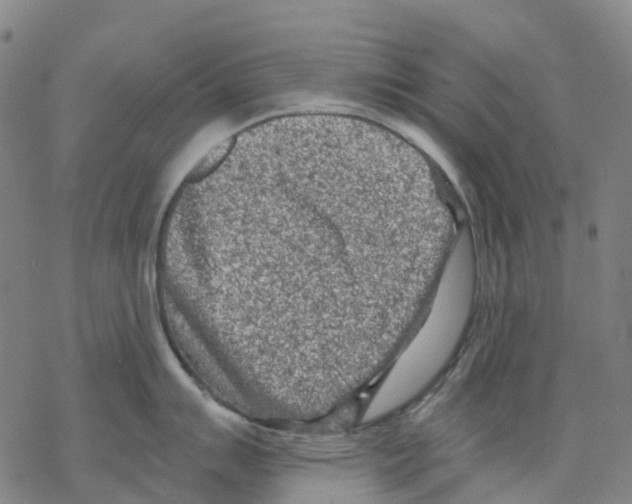 X0000068281007200605191848