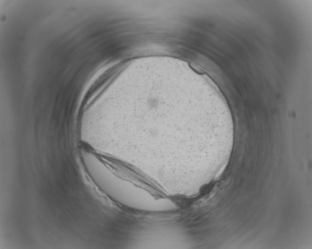 X0000068281008200605191848