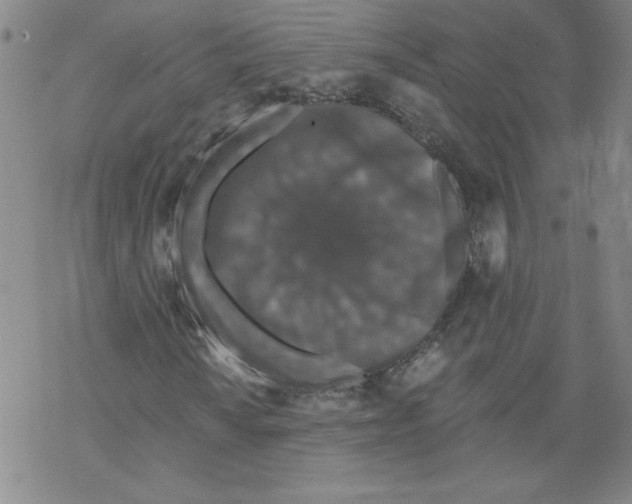 X0000068281010200605191848