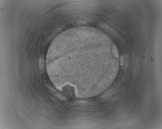 X0000068281011200605191848