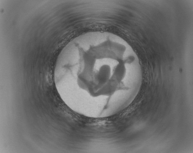 X0000068281013200605191848