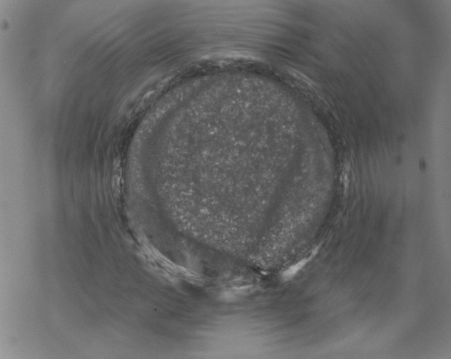 X0000068281014200605191848