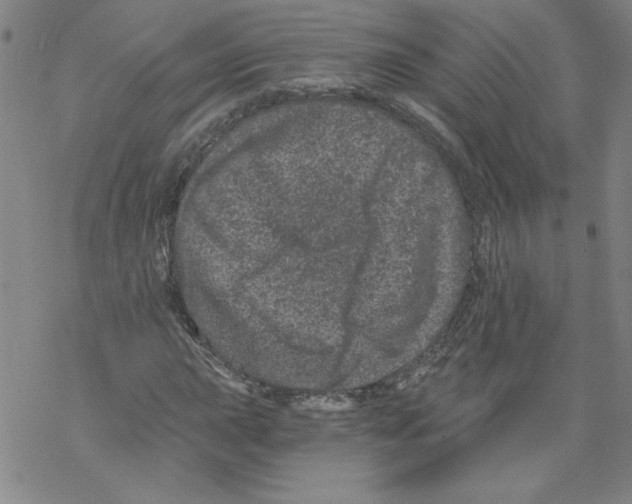 X0000068281015200605191848