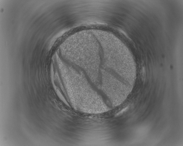 X0000068281016200605191848