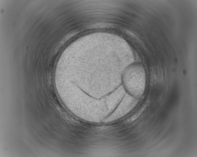 X0000068281017200605191848