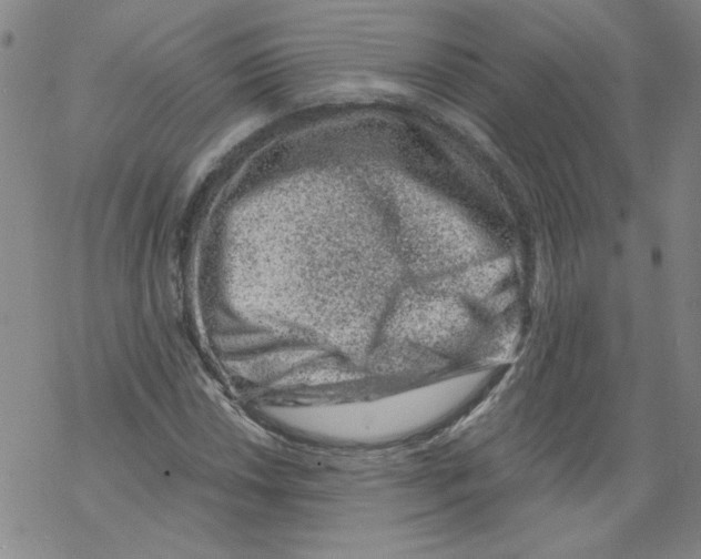 X0000068281018200605191848