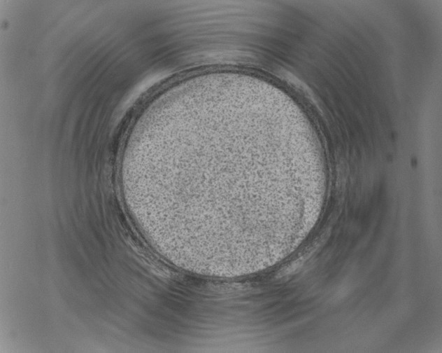 X0000068281019200605191848