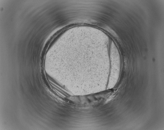 X0000068281020200605191848