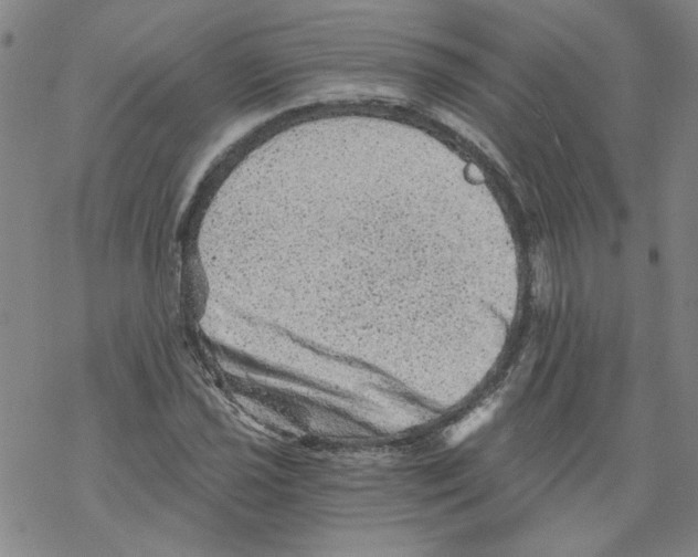 X0000068281021200605191848