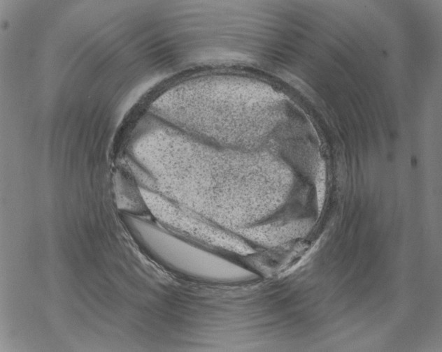 X0000068281022200605191848