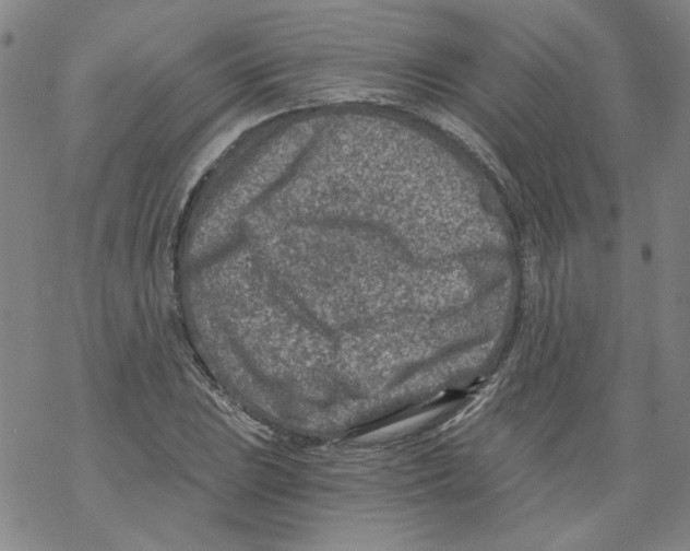 X0000068281023200605191848