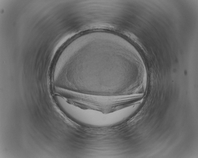 X0000068281024200605191848