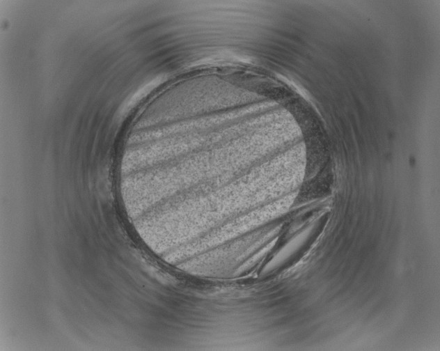 X0000068281026200605191848