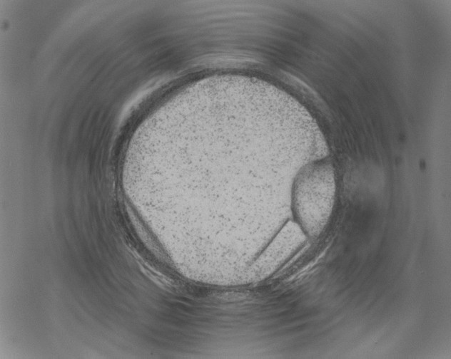 X0000068281027200605191848