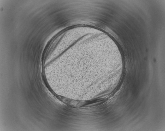 X0000068281028200605191848