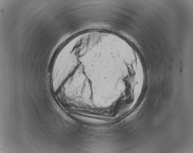 X0000068281029200605191848