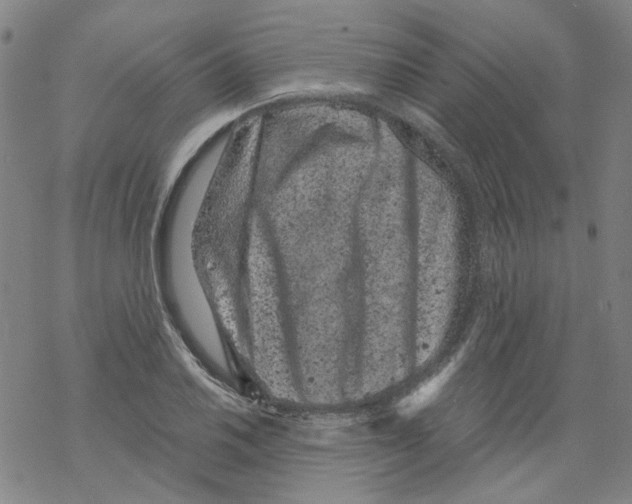 X0000068281030200605191848