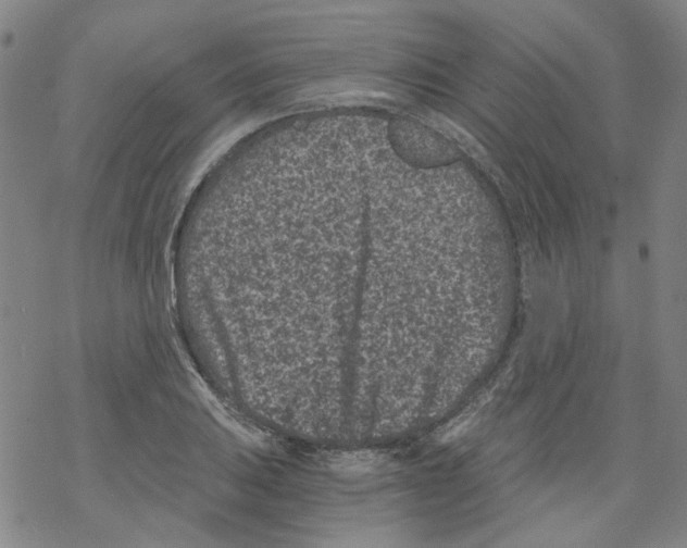 X0000068281031200605191848