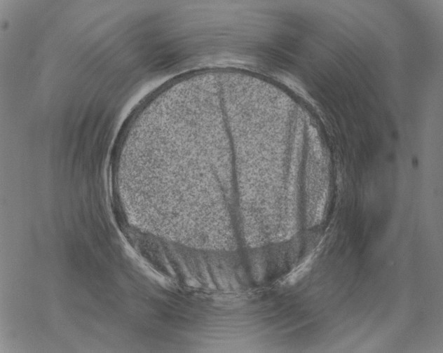 X0000068281032200605191848