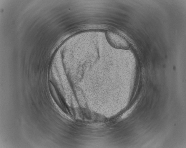 X0000068281033200605191848