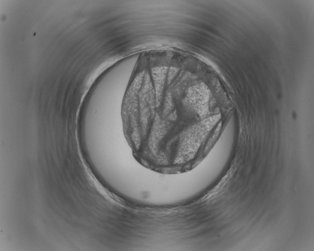 X0000068281034200605191848