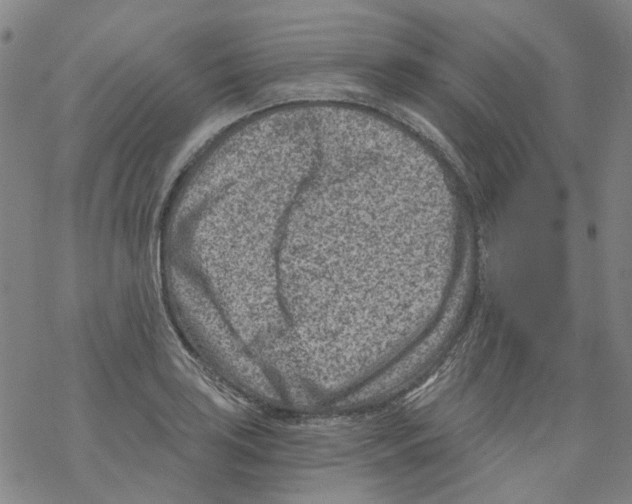 X0000068281035200605191848